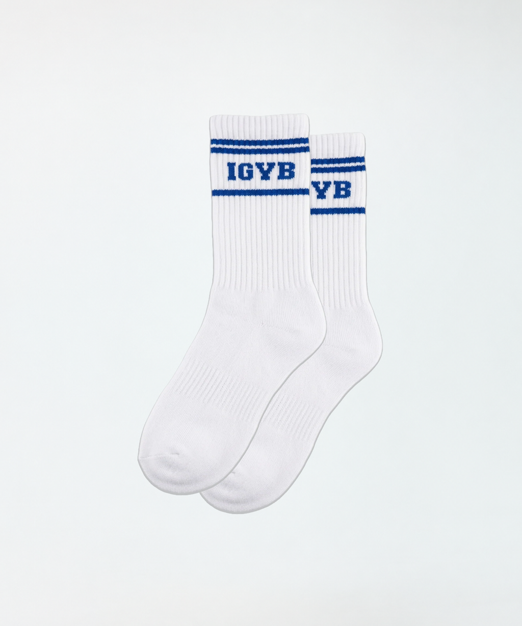 Varsity Socks | White x Blue Stripes
