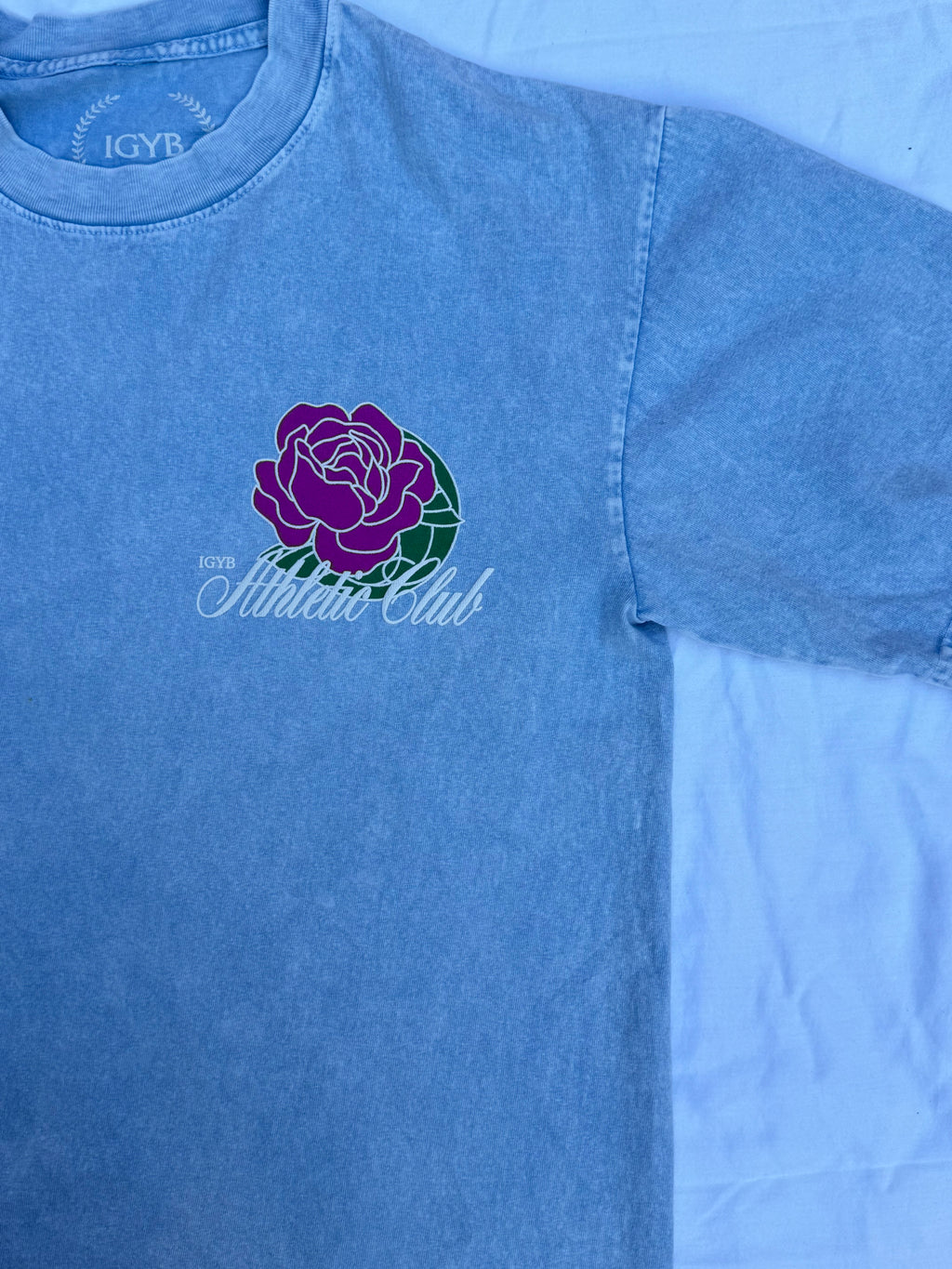 The Sky Athletic Club T-Shirt in Wash Light Blue